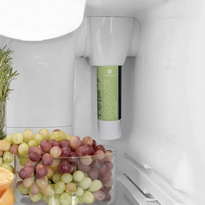 GE Refrigerator Water Filter MSWF